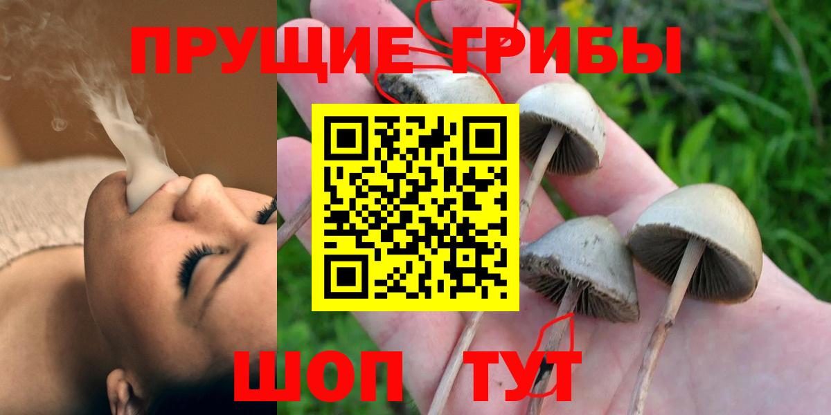 Сердобск  цена наркотик  Вход с VPN  Псилоцибиновые грибы MAGIC MUSHROOMS  Галлюциногенные грибы мицелий 